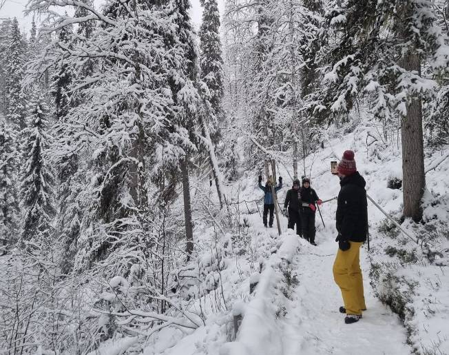 Discover Our Story - Lapland Fox Tours